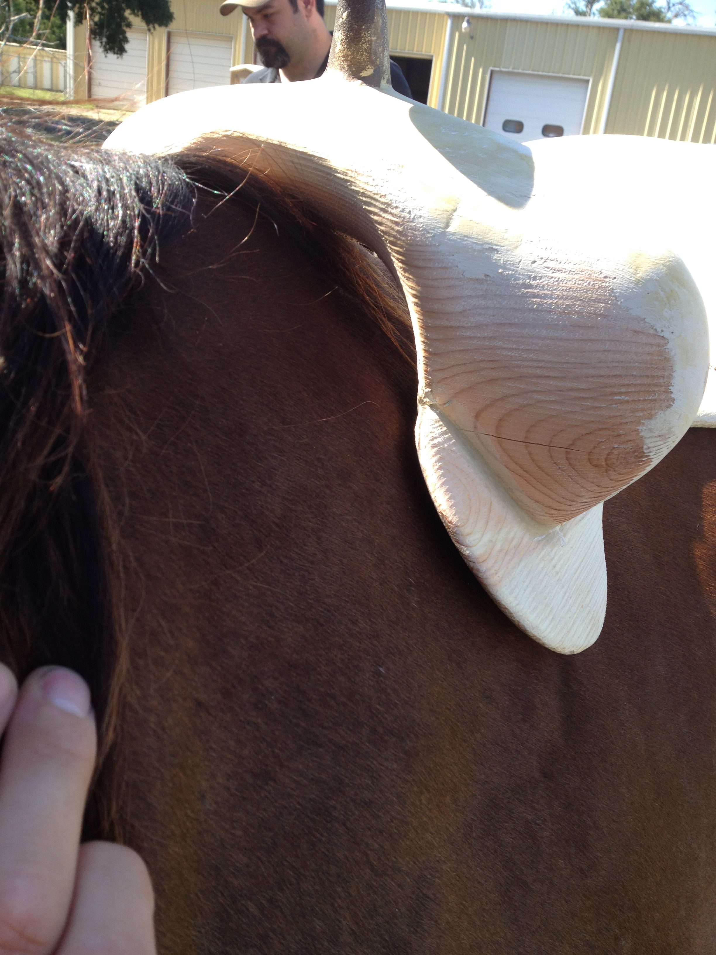 Dry spots!!! Don Gonzales Saddlery